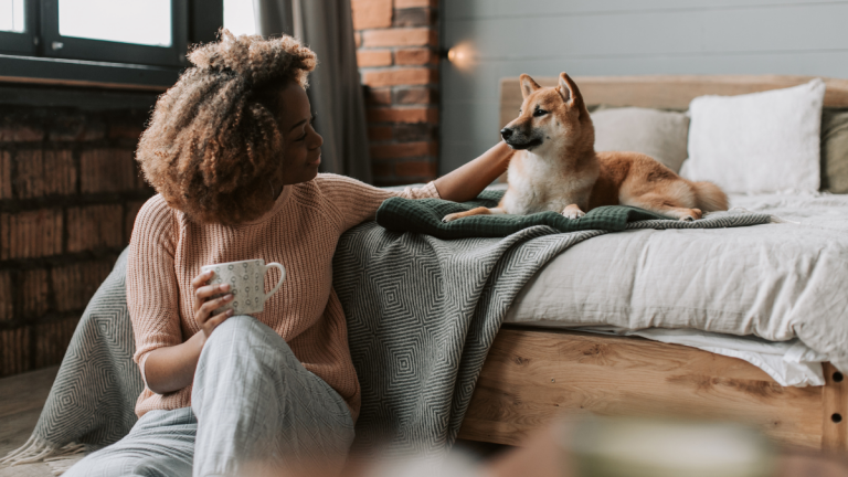 Expatriation and repatriation of your animal