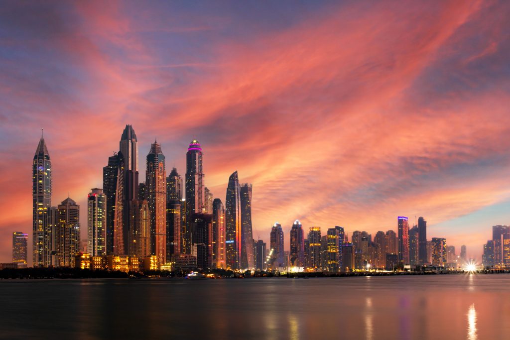 emmener son animal de compagnie à dubaï