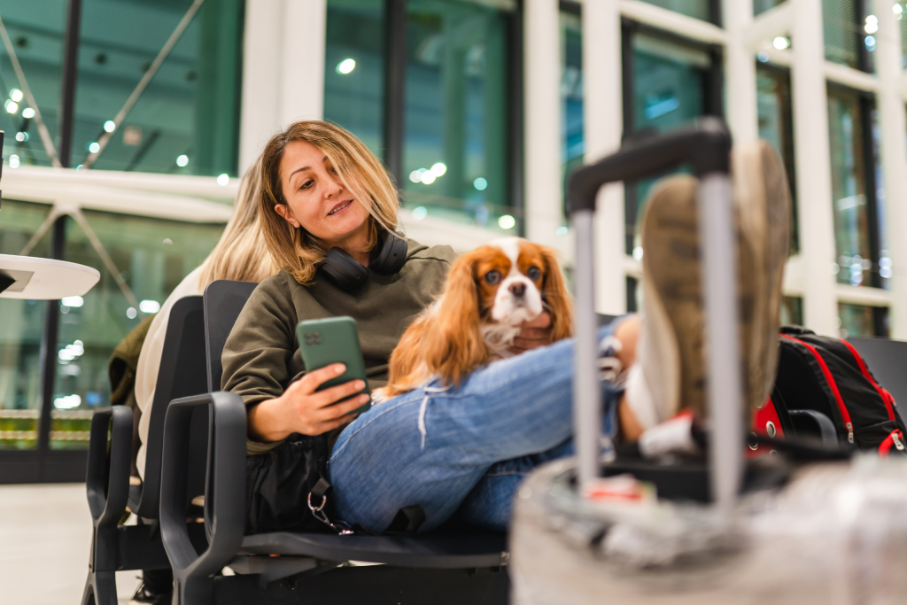 air transat pet policy