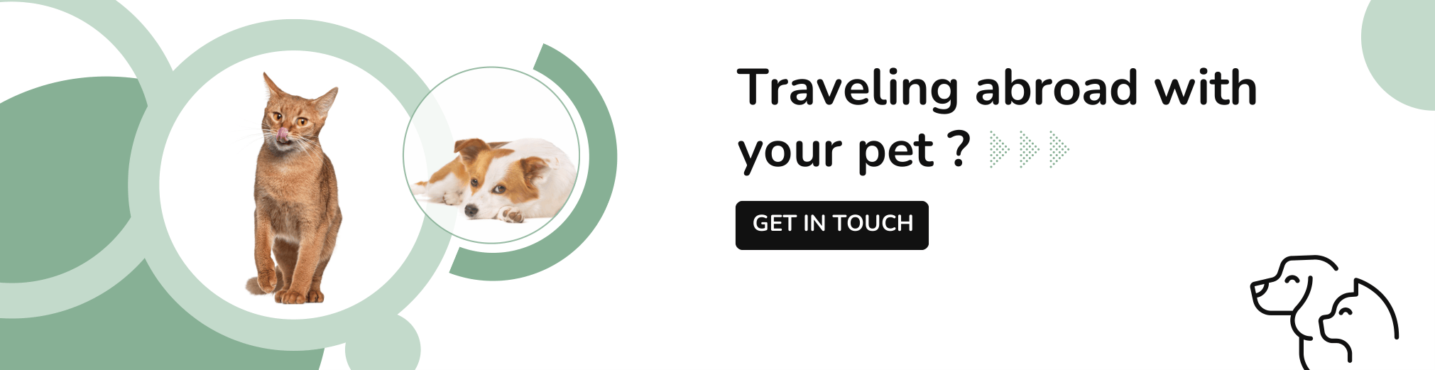 Travel abroad with your pet