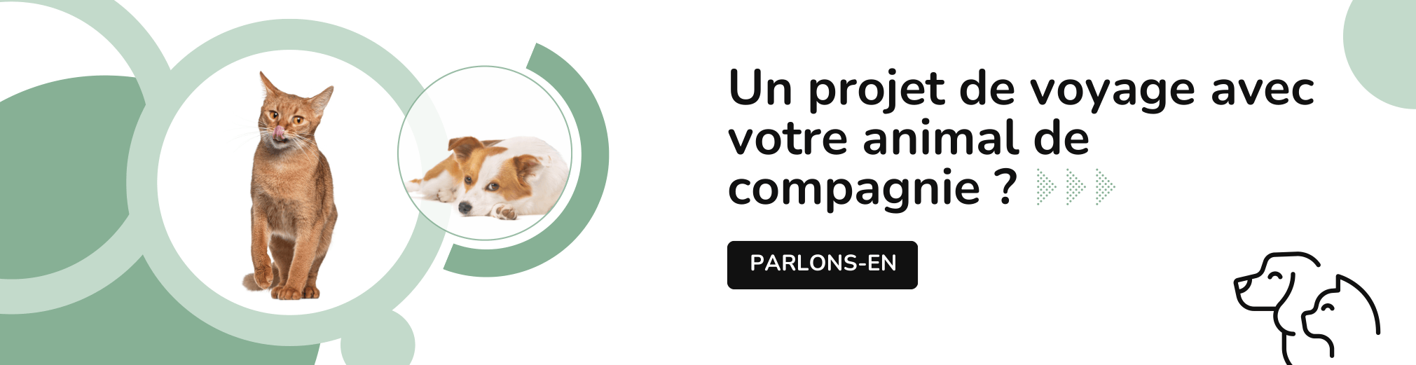 Voyager avec votre animal de compagnie