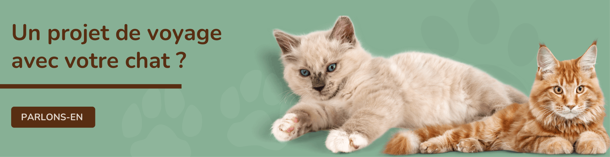 Voyager avec votre chat