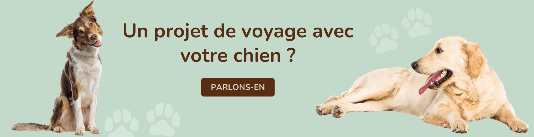 Voyager avec votre chien